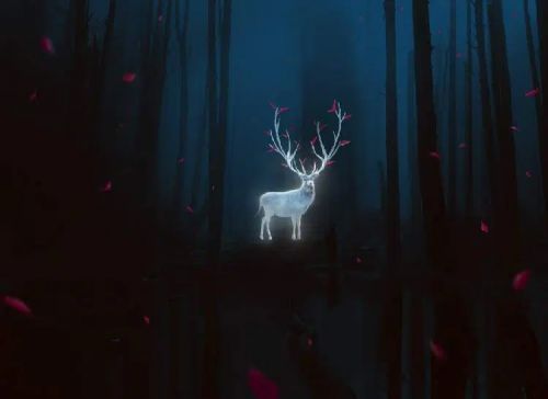 آموزش طراحی گوزن درخشان در فتوشاپ